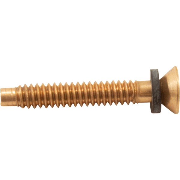 Light Pilot Screw, American Products, Amerlite, Brass : 79104800Z