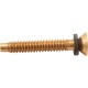 Light Pilot Screw, American Products, Amerlite, Brass : 79104800Z