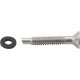 Light Pilot Screw, American Products, Amerlite, SS : 619355Z