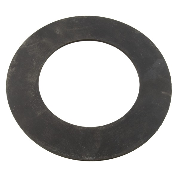 Gasket, Sta-Rite Sunstar, Wall Fitting : 05103-0101Z