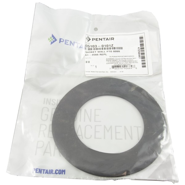 Gasket, Sta-Rite Sunstar, Wall Fitting : 05103-0101Z