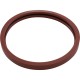 Gasket Kit, Pentair American Products Amerquartz, Light Lens : 620400Z