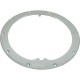 Light Niche Sealing Ring, Pentair, Amerlite, 10-hole, Vinyl : 79200200