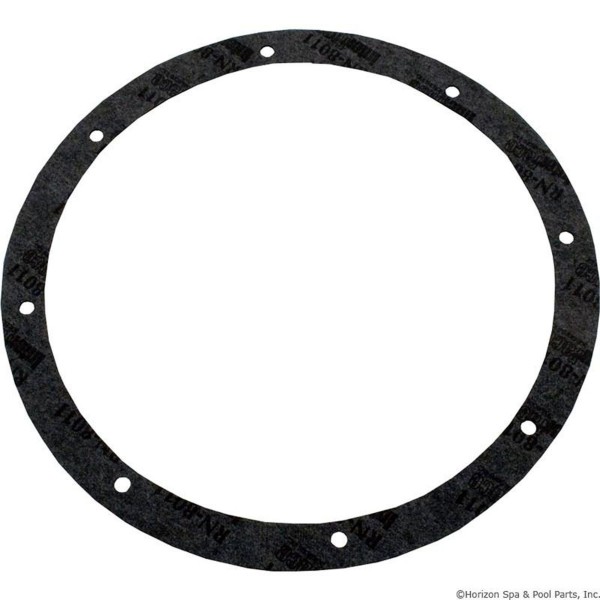 Light Niche Gasket Kit, Pentair Amerlite, 8-Hole, Vinyl : 79200300