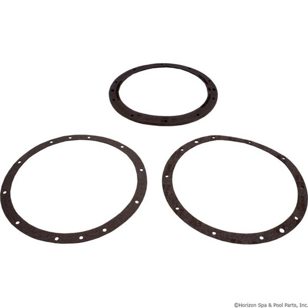 Niche Gskt Kit, PentairAmerlite, 10-Hole, Vinyl, w/Dbl Wall Gskt : 79200700