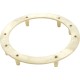 Light Niche Backup Ring, Pentair, AquaLight, Tapped, SS : 79205600