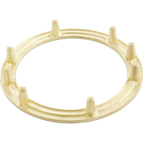 Light Niche Backup Ring, Pentair, AquaLight, Tapped, SS : 79205600