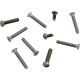 Light Niche Screw Set, Pentair, AquaLight, Stainless Steel : 79205500