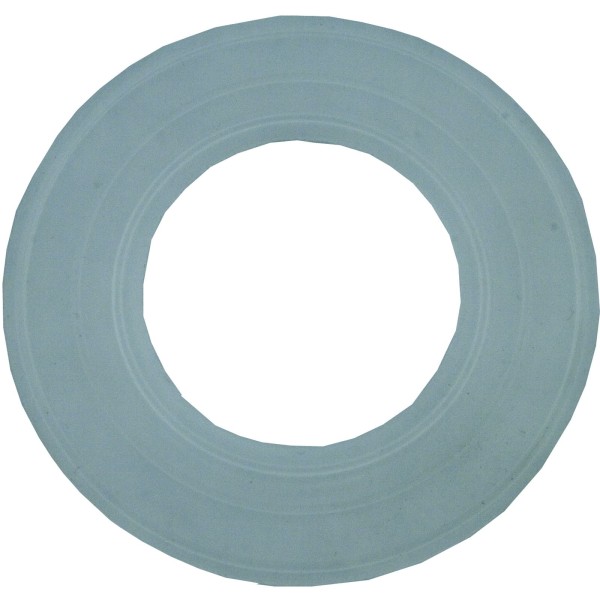 Light Gasket, Pentair, Aqualuminator : 79116800