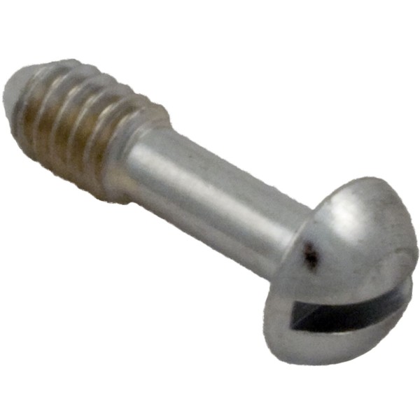 Light Lock Screw, Hayward, SP0500, SP0501, SP0502, Face Plate : SPX0503Z20A