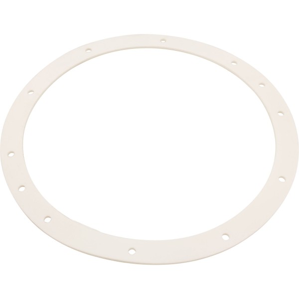 Gasket, 10 Hole Light Niche, 10-1/2"ID, 12-3/8"OD, Generic : SG400