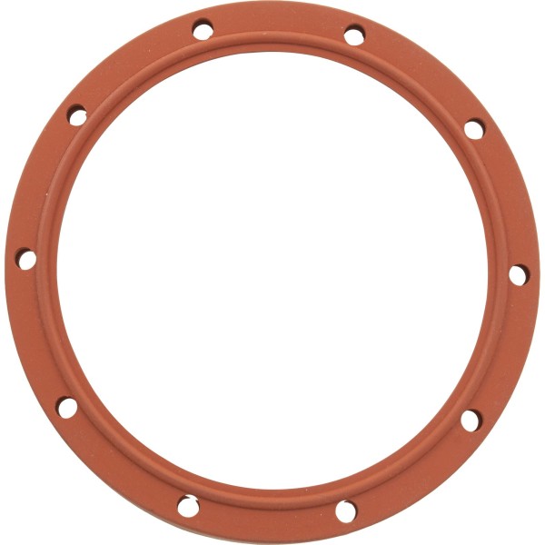 Gasket, SwimQuip Pool Light, Silicone, Extra Heavy Duty : LPL-G-S