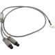 Light Adapter, Jacuzzi/Sundance, 2018+, Molex : 6560-192