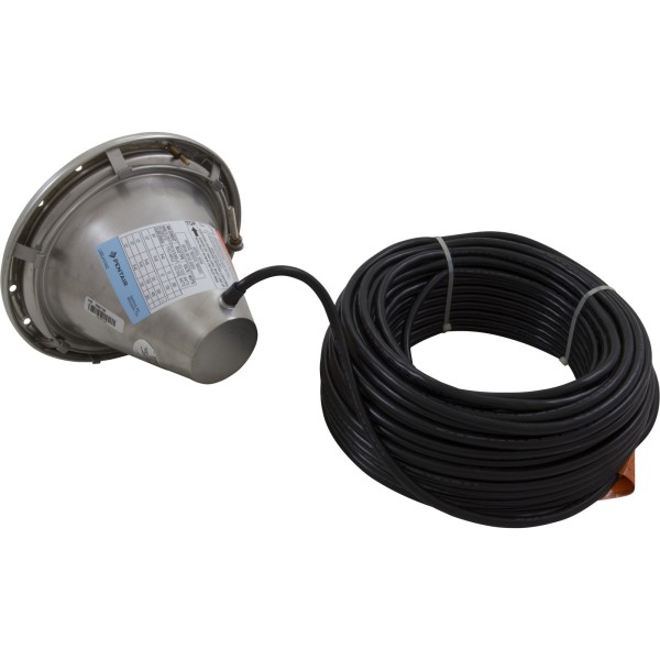 Pool Light, Pentair Amerlite SS, 115v, 500W, 100ft Cord : 78456300
