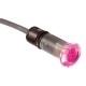 Pool/Spa Light, Hayward ColorLogic 80, LED, 1/2", 12v, 50ft : LMCUS11050