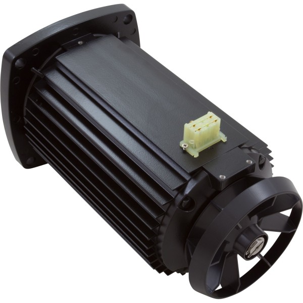 Motor, Jacuzzi, VSP250, 2.5hp, Variable Speed : 71422