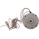 Fan Motor, Pentair ThermalFlo Heat Pump, w/ Acorn Nut : 470289