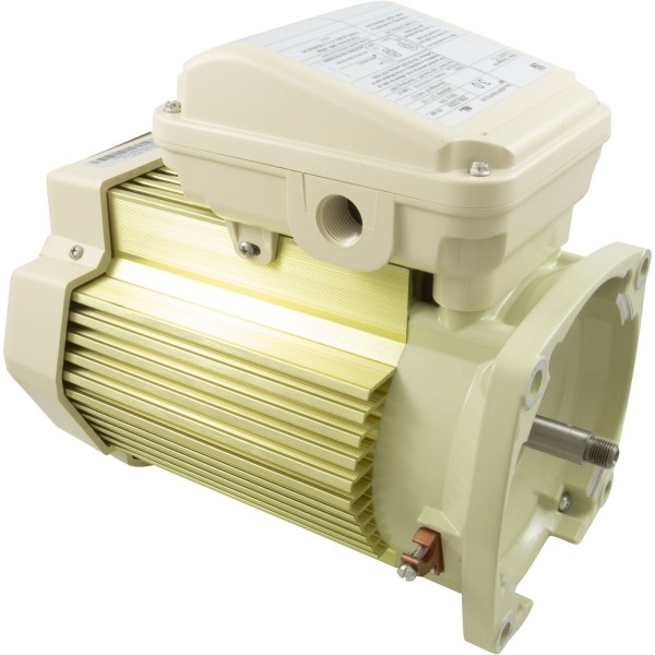 Motor, Pentair WF/WFXF, 3.0hp, 208-230v, 1-Spd, 56Y, SQFL, TEFC : 354817S