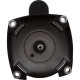 Motor, Pentair, 5.0hp, 230v, 1-Spd, 56Yfr, SQFL : 353319S