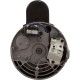 Motor, Pentair, 5.0hp, 230v, 1-Spd, 56Yfr, SQFL : 353319S