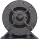 Motor, Century, 0.75 Horsepower, 115v, 1 Speed, 48 Frame : BN24V1