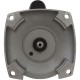 Motor, Century, 2hp, 115/230v, 1-Spd, 56Fr, Up Rate : B2859