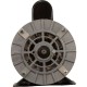 Motor, Century, 1.0 Horsepower, 230v, 2-Speed, 56Y Frame : B2232