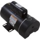 Motor, Century, 3.0 SPL, 230v, 2 Speed, 48 Frame, EE : BN61