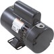 Motor, Century, 3.0 Horsepower, 230v, 2 Speed, 48 Frame : SDS1302