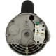 Motor, Century, 2.0hp, 230v, 1-Spd, 56Yfr, SQFL : B2748