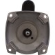 Motor, Century, 0.5hp, 115v/230v, 1-Spd, 56Yfr, SQFL, EE : B845