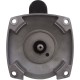 Motor, Century, 0.75hp, 115v/230v, 1-Spd, 56Yfr, SQFL, EE : B2661