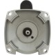 Motor, Century, 0.75hp, 115v, 2-Spd, 56Yfr, SQFL, EE : B2981