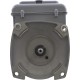 Motor, Century, 0.75hp, 115v, 2-Spd, 56Yfr, SQFL, 2-Green : B2981T