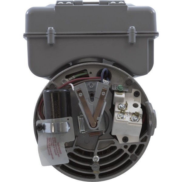 Motor, Century, 0.75hp, 115v, 2-Spd, 56Yfr, SQFL, 2-Green : B2981T