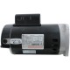 Motor, Century, 1.5hp, 1-Spd, 230v, SQFL, 56Y Frame : B2849