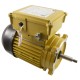 Motor, Hayward Super Pump, 1.5 HP, C FLG, TEFC : SPX2610Z1MTG