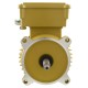 Motor, Hayward Super Pump, 1.5 HP, C FLG, TEFC : SPX2610Z1MTG