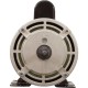 Motor, US Motor, 2.5 Horsepower, ThruBolt, 2-Spd, 230v, 56Y, : TT504