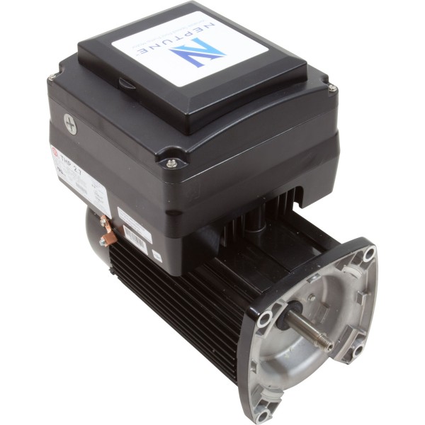 Motor, US Motor Neptune, 1.25thp, SQFL, Var-Spd, 115/230v, 48Y : NPTQ125
