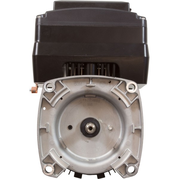 Motor, US Motor Neptune, 1.25thp, SQFL, Var-Spd, 115/230v, 48Y : NPTQ125