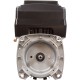 Motor, US Motor Neptune, 1.25thp, SQFL, Var-Spd, 115/230v, 48Y : NPTQ125