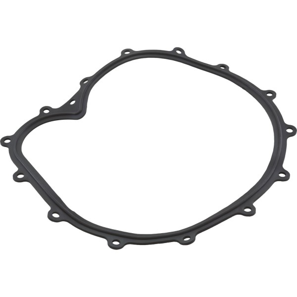 Faceplate Gasket, Big Red Pump : 711-2610