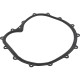 Faceplate Gasket, Big Red Pump : 711-2610
