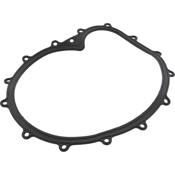 Faceplate Gasket, Big Red Pump : 711-2610