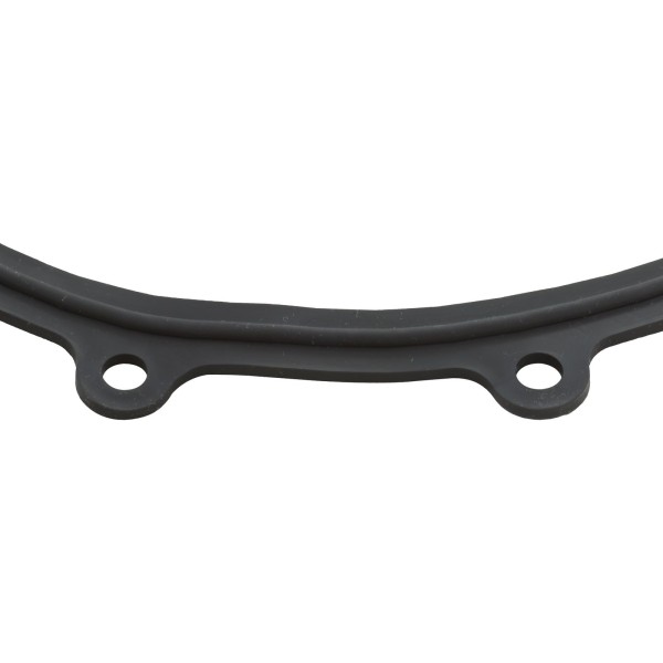 Faceplate Gasket, Big Red Pump : 711-2610