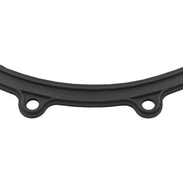 Faceplate Gasket, Big Red Pump : 711-2610