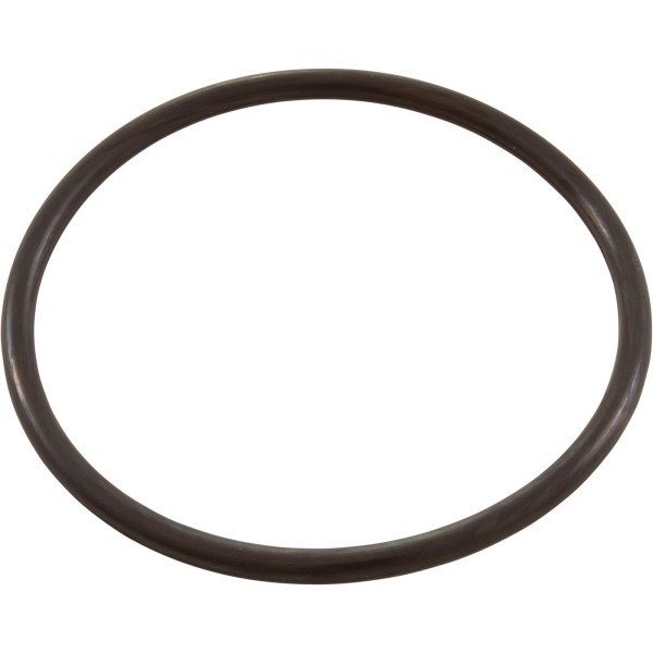 O-Ring, Number 229 - 2" Union, Blowertp, Gunite Flt Vlv : 805-0229B