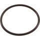 O-Ring, Number 229 - 2" Union, Blowertp, Gunite Flt Vlv : 805-0229B