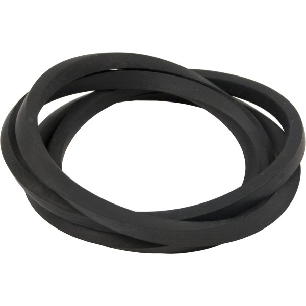 O-Ring, PentairPacFab Sea Horse/FNS, Tank Body, O-420 : 195008